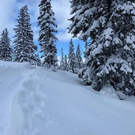 Sunlodge B1 Schladming-dachstein *