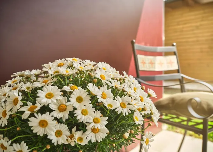 Sunlodge B1 Schladming-dachstein Appartement *